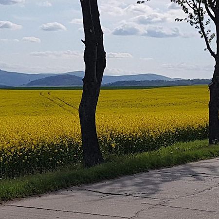 Auf-Der-Muehlwiese Apartamento Großschönau Exterior foto