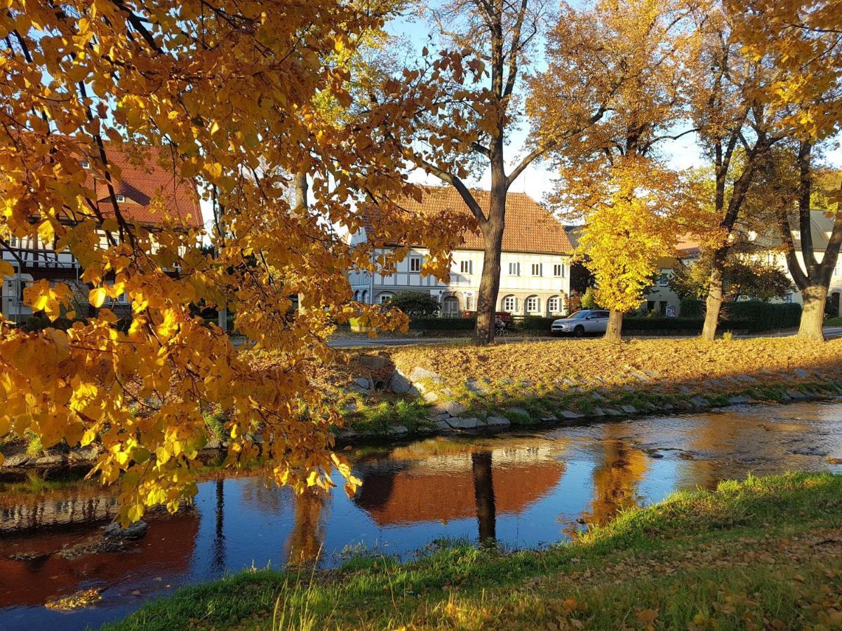 Auf-Der-Muehlwiese Apartamento Großschönau Exterior foto