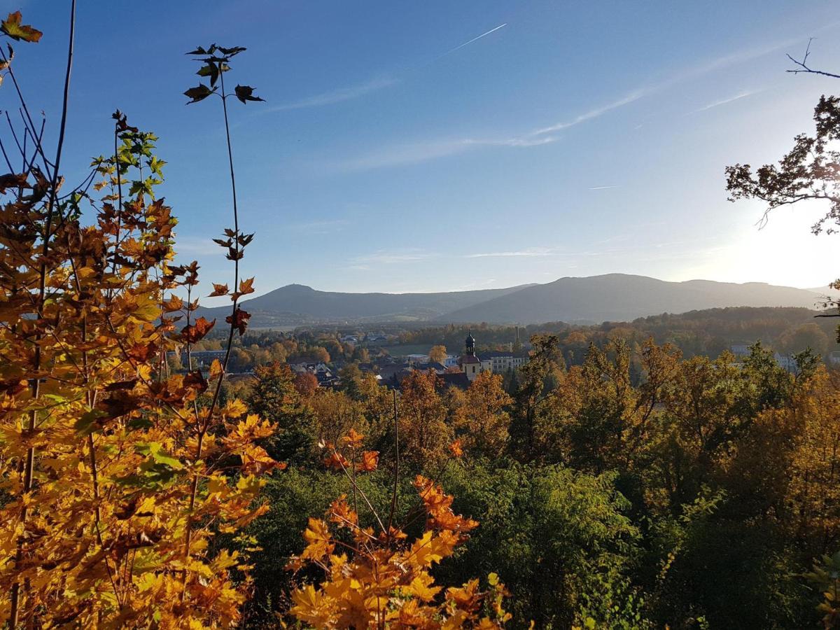 Auf-Der-Muehlwiese Apartamento Großschönau Exterior foto