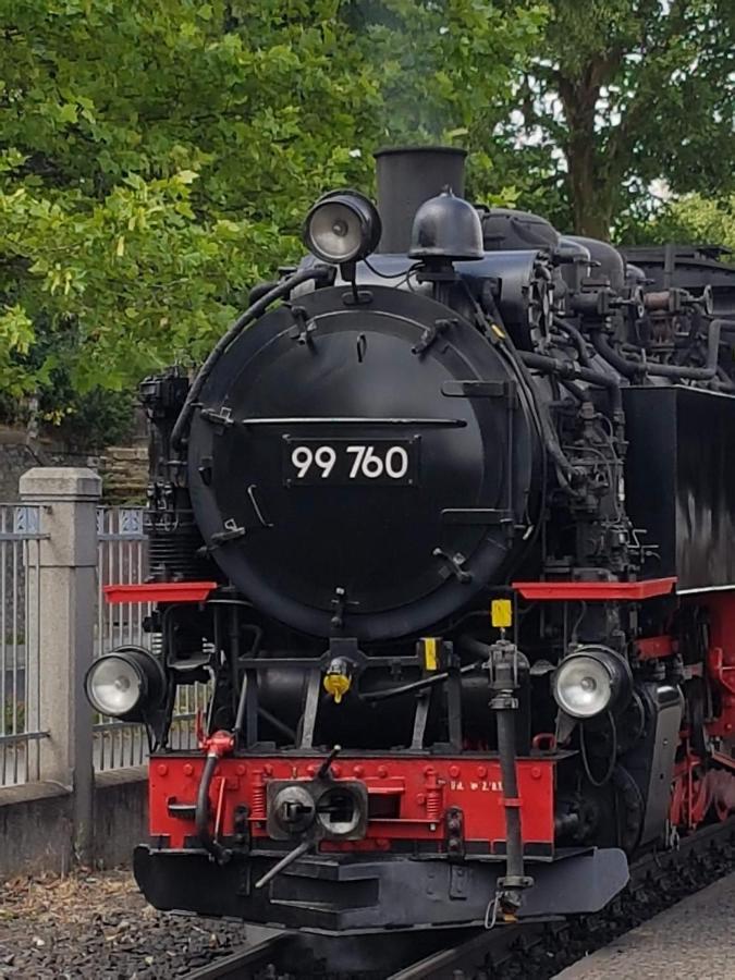 Auf-Der-Muehlwiese Apartamento Großschönau Exterior foto