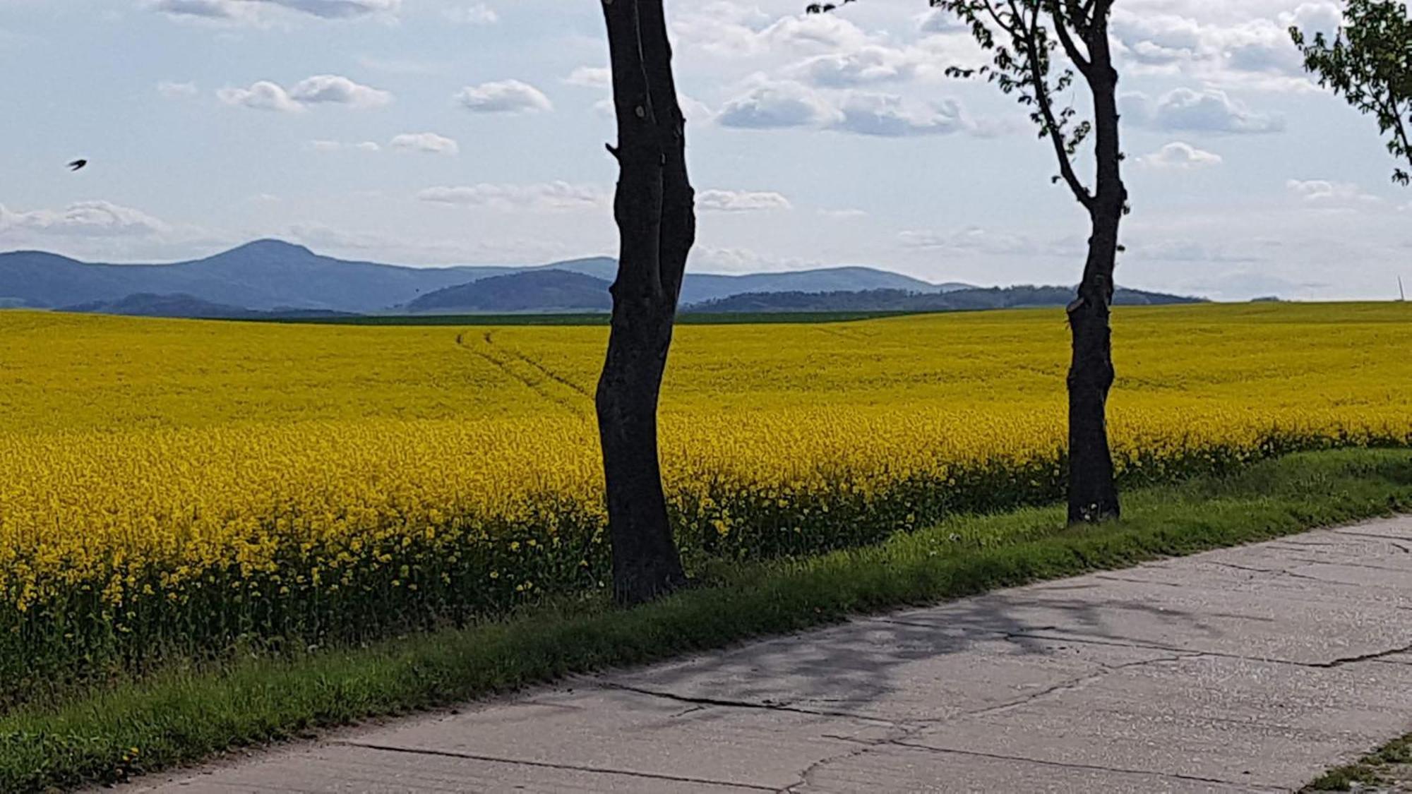 Auf-Der-Muehlwiese Apartamento Großschönau Exterior foto